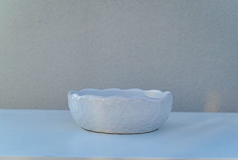 Terra Bowl